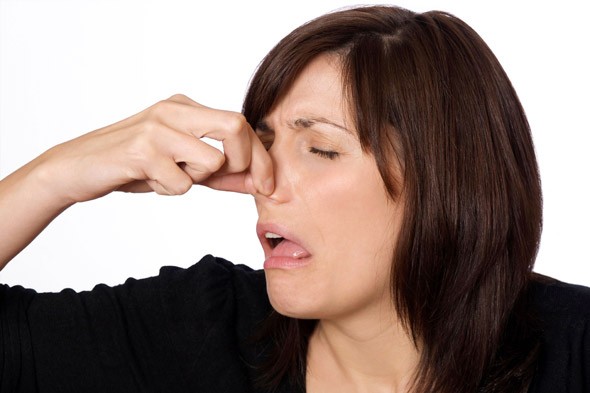 woman-holding-nose-smell-590kb080910.jpg