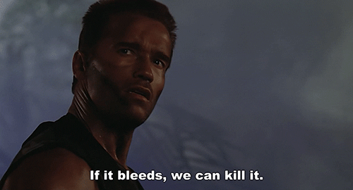 jl4gf32bt8i5.gif