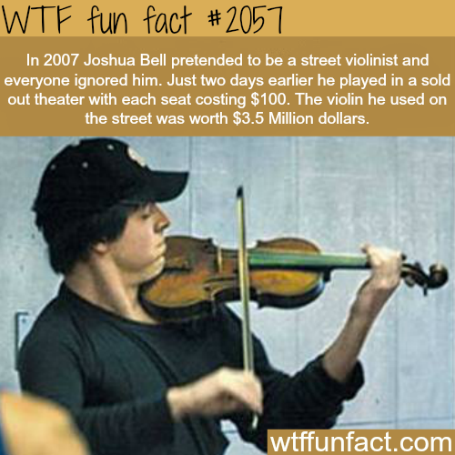 tumblr_mx33txx9YC1roqv59o1_500.png