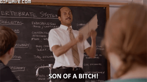 tumblr_niwuoqahpM1u4kot1o1_500.gif
