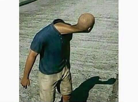 6ub6h7vr8rvk.jpg