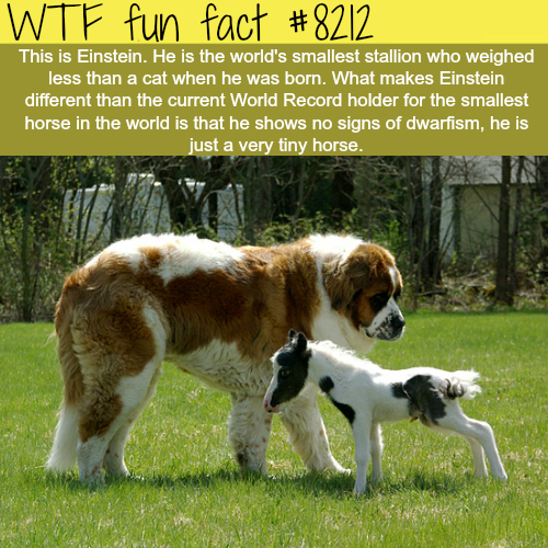 tumblr_p0mh8nuxq51roqv59o1_500.png