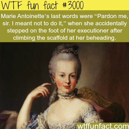 tumblr_nc69ao7B8F1roqv59o1_500.png