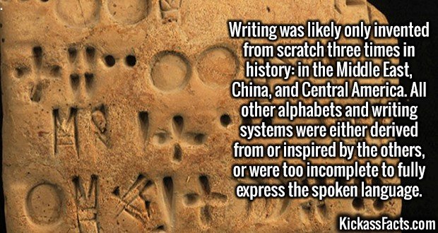 3041-Writing.jpg