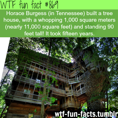 tumblr_meyv9fhHA21roqv59o1_500.png