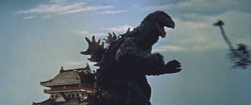 tumblr_m4h6xvE17N1ru09vqo1_500.gif