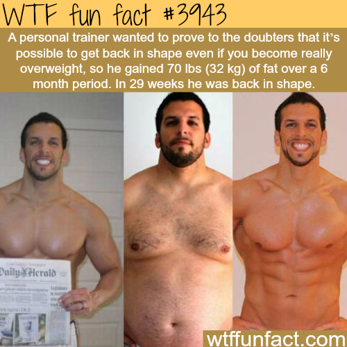 tumblr_nnut7xMgeN1roqv59o1_500.png
