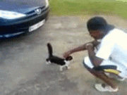 lg2tr97s0rsm.gif