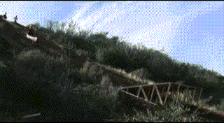 VagueZealousBlueandgoldmackaw.gif