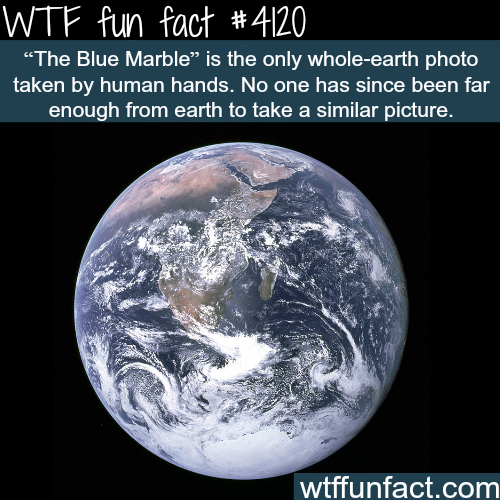 tumblr_npw2anIBg01roqv59o1_500.png