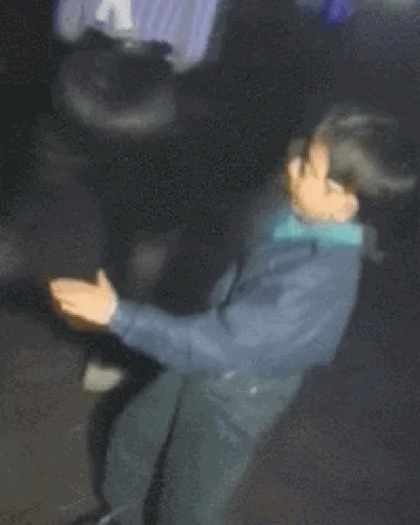 lp7wkx87t21u.gif