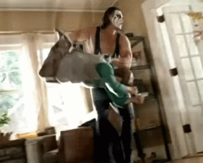 tumblr_nvknbfMWGz1s82c3do4_400.gif