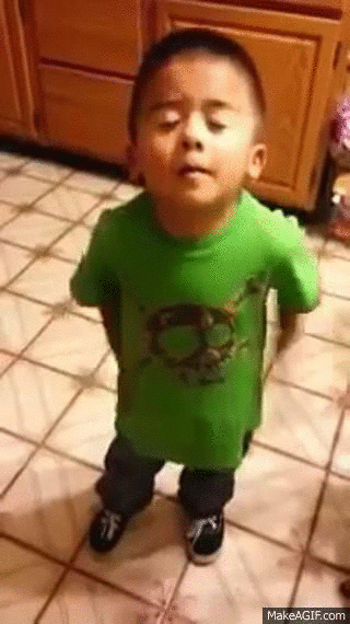 jsvcj6o1xnhw.gif