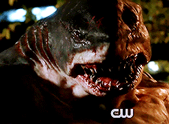 tumblr_nwwpc5fH8J1uvcgjlo3_250.gif
