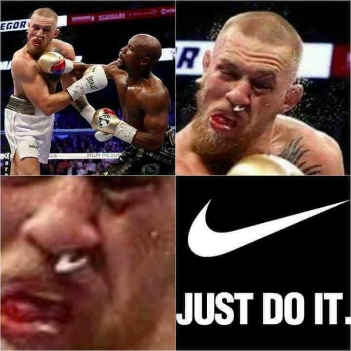pefshmctdogb.jpg