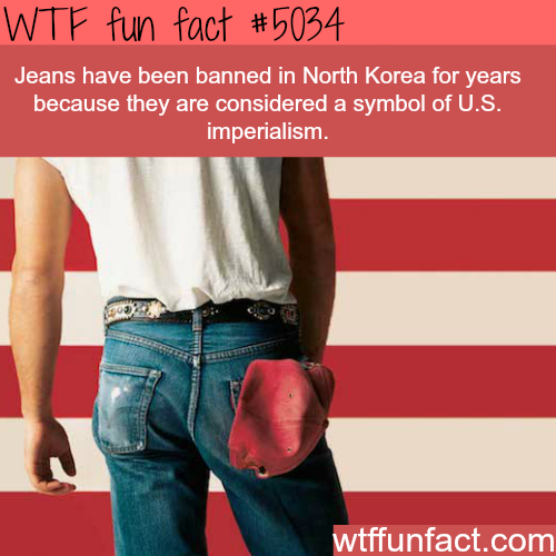 tumblr_nzzzkspTSd1roqv59o1_500.png