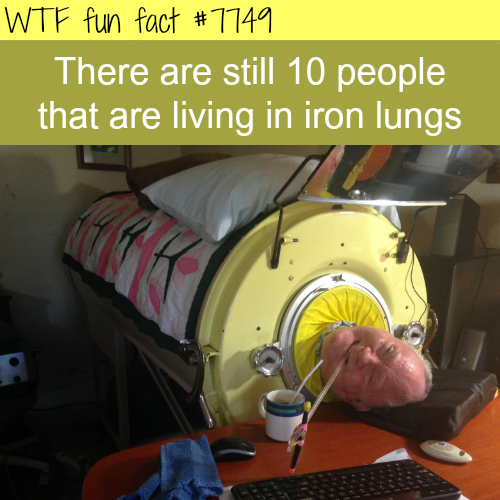 tumblr_otpnehe3il1roqv59o1_500.png