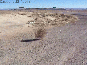 g5nrwmcamc9o.gif