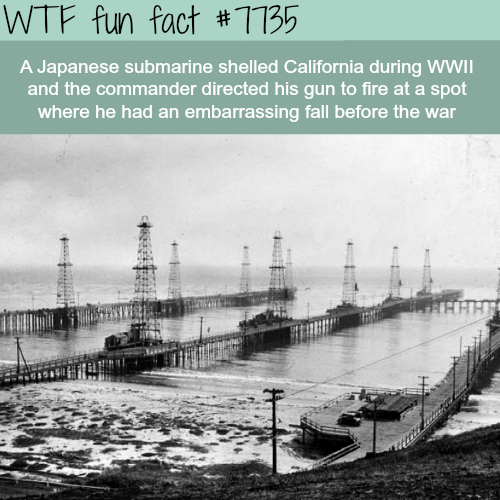 tumblr_otiy93L8NO1roqv59o1_500.png