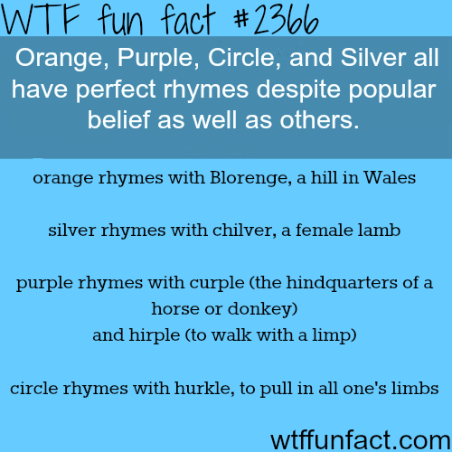 tumblr_n39zxo1SQy1roqv59o1_500.png