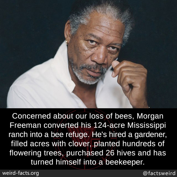 tumblr_nppzl7BFLf1szqwnwo2_r1_1280.jpg