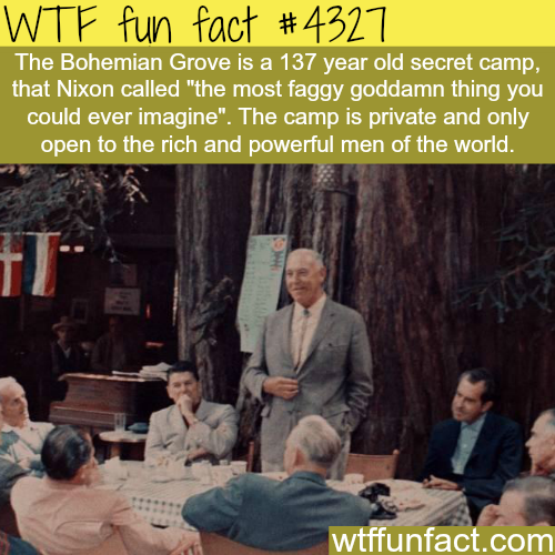 tumblr_ns0tq8Cyhh1roqv59o1_500.png