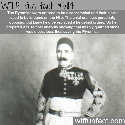 tumblr_o0wtvyQagZ1roqv59o1_500.png
