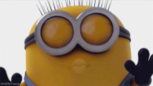 gur1kl35pjjp.gif