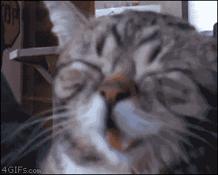 qhxsj7ubdxwz.gif