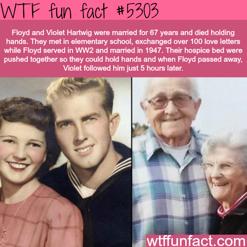 tumblr_o32ox8iXMs1roqv59o1_500.png