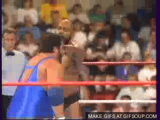 06pgftuzstzt.gif