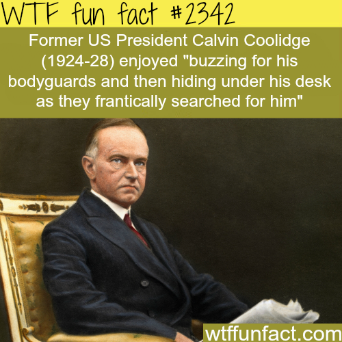 tumblr_n2upn8Aefv1roqv59o1_500.png