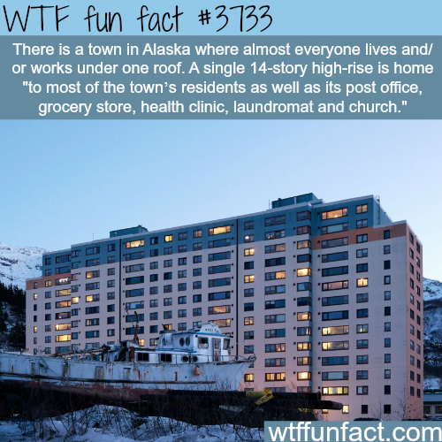 tumblr_nlh67bECf31roqv59o1_500.png