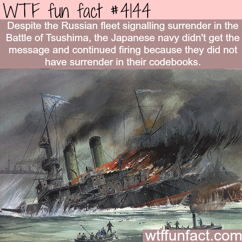 tumblr_nq5npt7Htf1roqv59o1_500.png
