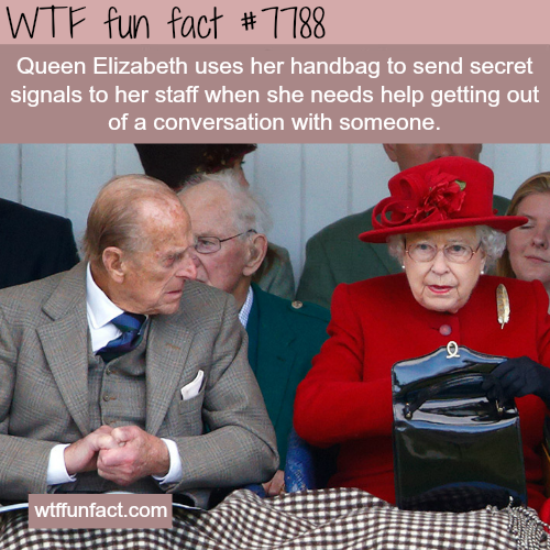 tumblr_ou6t20iCB31roqv59o1_500.png