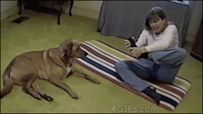 tumblr_msoao6tqnN1qdlh1io1_400.gif