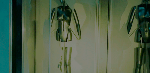 tumblr_o2rwtebdjT1s239dso2_500.gif