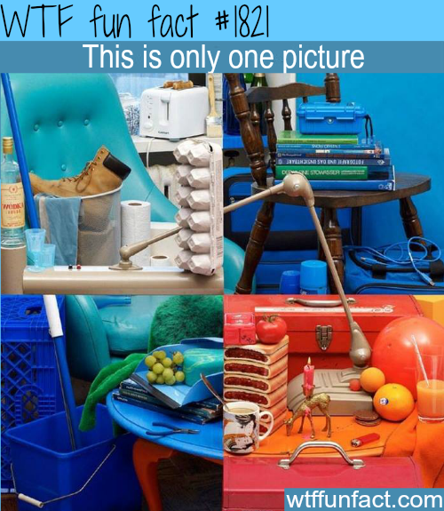 tumblr_mskla0NMc81roqv59o1_500.png