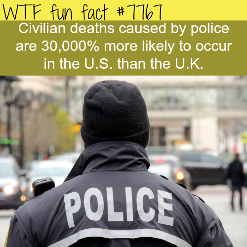 tumblr_otxo6e1mbM1roqv59o1_500.png