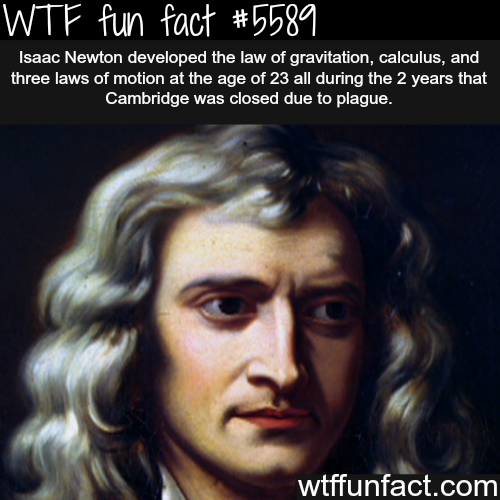 tumblr_o58kfgQJq31roqv59o1_500.png