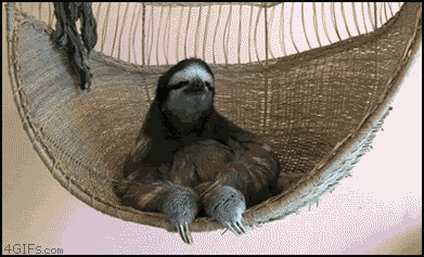 g001_sloth_deal_with_it.gif