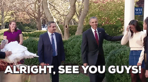 o31h6d7pbd2j.gif