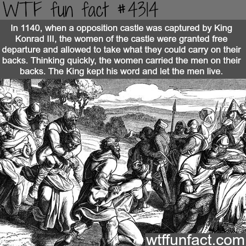 tumblr_nrwcf9jY6n1roqv59o1_500.png