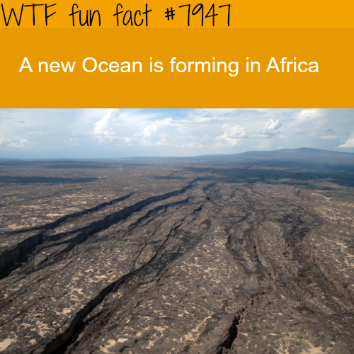 tumblr_owg4vh4IGt1roqv59o1_500.png