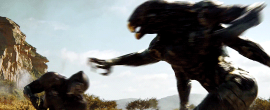 tumblr_p06nb8w60d1qi29uso5_540.gif