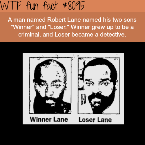 tumblr_oyvno7vt9j1roqv59o1_500.png