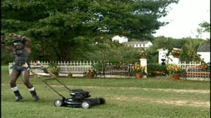 xr012dcidjvs.gif