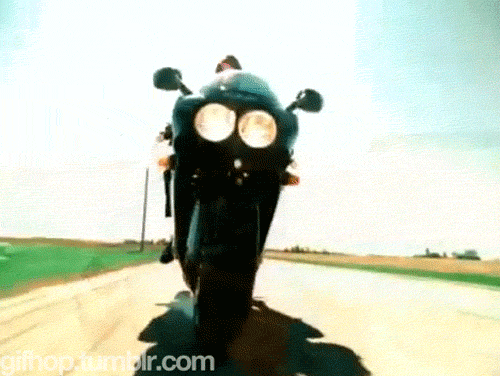 tumblr_mhwfo83enr1s559c9o1_500.gif