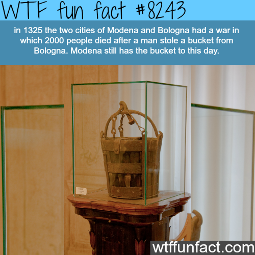 tumblr_p12fd8HgEY1roqv59o1_500.png
