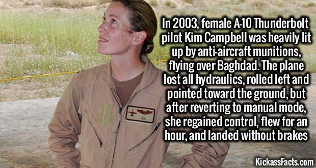 1268-Kim-Campbell.jpg